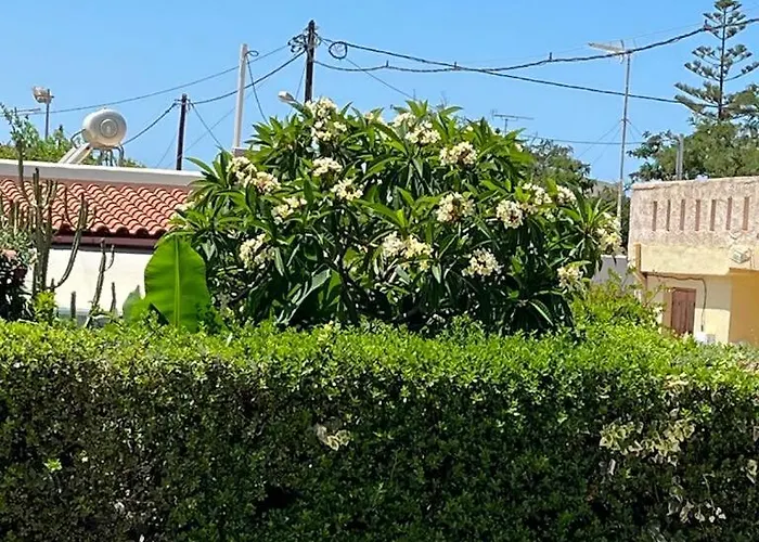 Olga's Front Yard Διαμέρισμα Χανιά