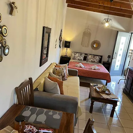 Daire Olga's Front Yard *